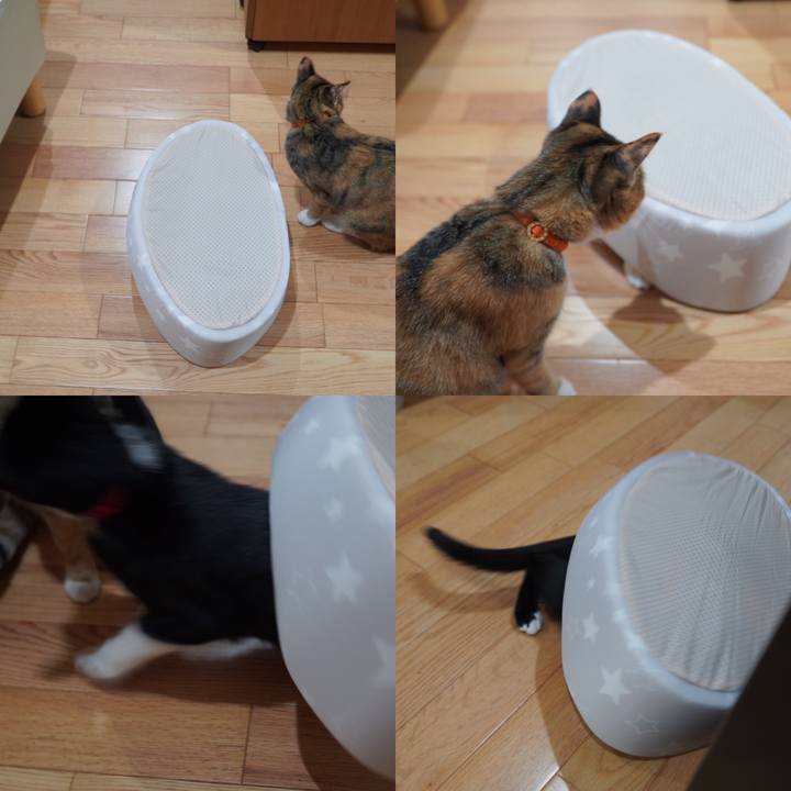 31047f46 a186 42e5 a016 482a18e272ac 1592881370951