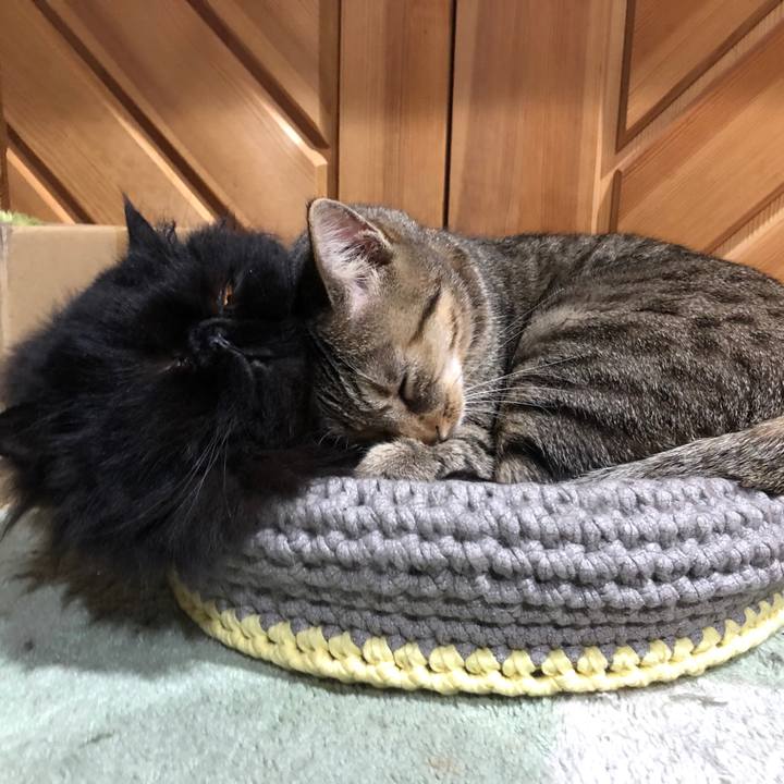 3104bc4b c134 493f a44e ed46de13b937 1587296996213