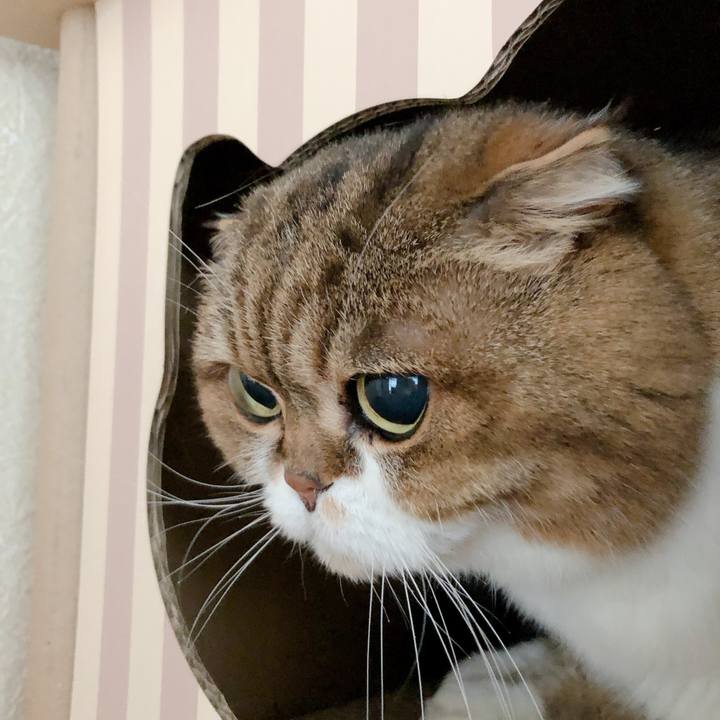 3104debf 804c 4ccf b0df 16e9c998fa59 1584152543923