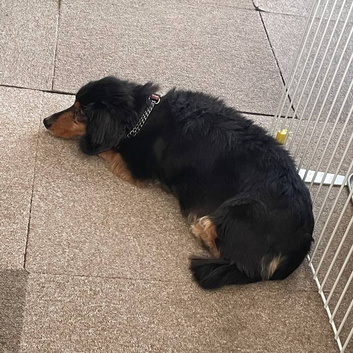 3104ed88 5860 4208 8902 dbe8d84bfc34 1614722049087