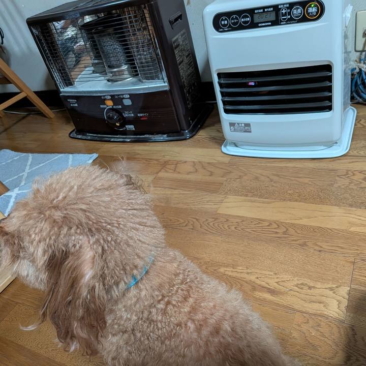 3104ef8b 0806 4159 92ca 8bf9657c1063 1763026737513