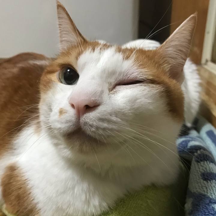 3105124c c2fe 44ae 9f96 2a4346045f15 1567509529939