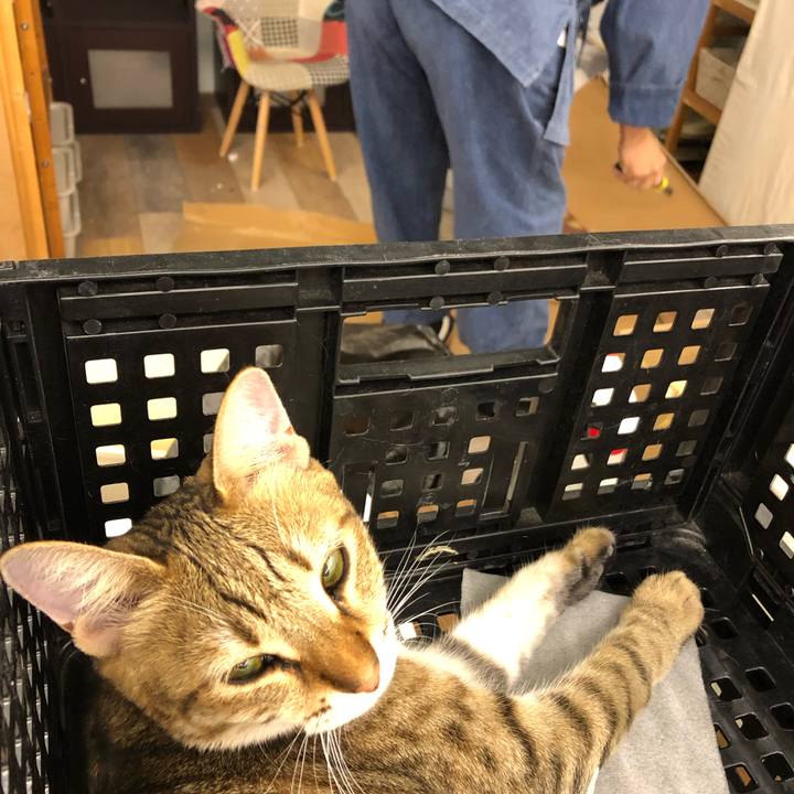 31052172 ae57 4414 a544 6b24a12b5056 1603512084560