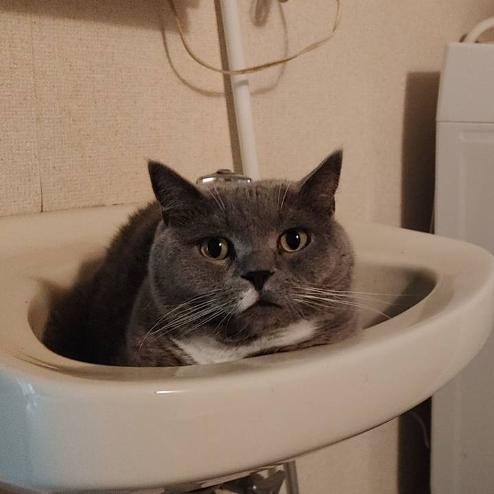 31052557 f904 45a9 aca3 37ad01f89722 1656415975365