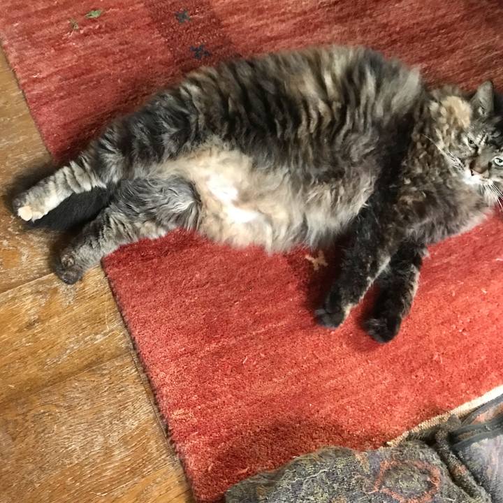 31054bd9 4fc0 4aa3 be78 c611736aba81 1628388488691