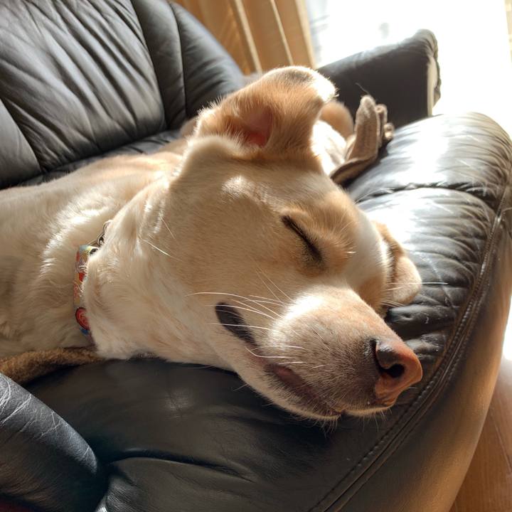 31055d62 45e1 4345 8f73 83b64227bb15 1547433426997