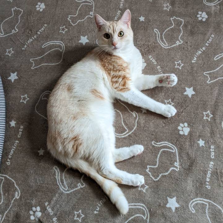 310576c9 337a 4bd3 aed4 4128b5af6c69 1696458265787