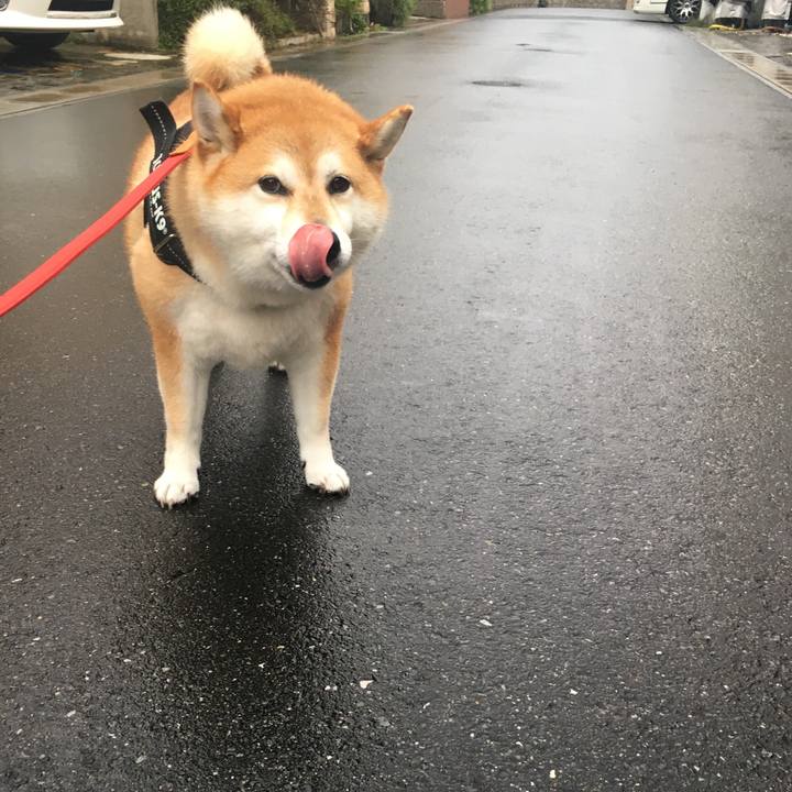 31059a3e 3541 4a8f be8c 574de4a589e9 1594631684508