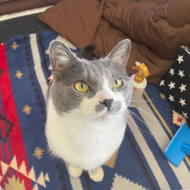 3105ad54 327a 4ca3 8ff0 346551b43eac 1679193287870