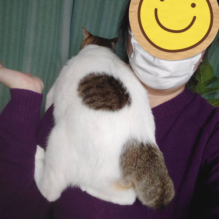 3105ff61 92db 4f64 a47c 08cce2aecdde 1735796080958