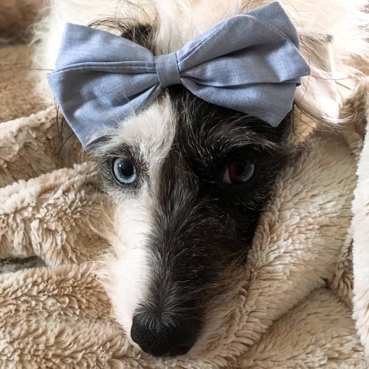 310622a5 977c 4edb a96c 052c50ceae49 1519769889015