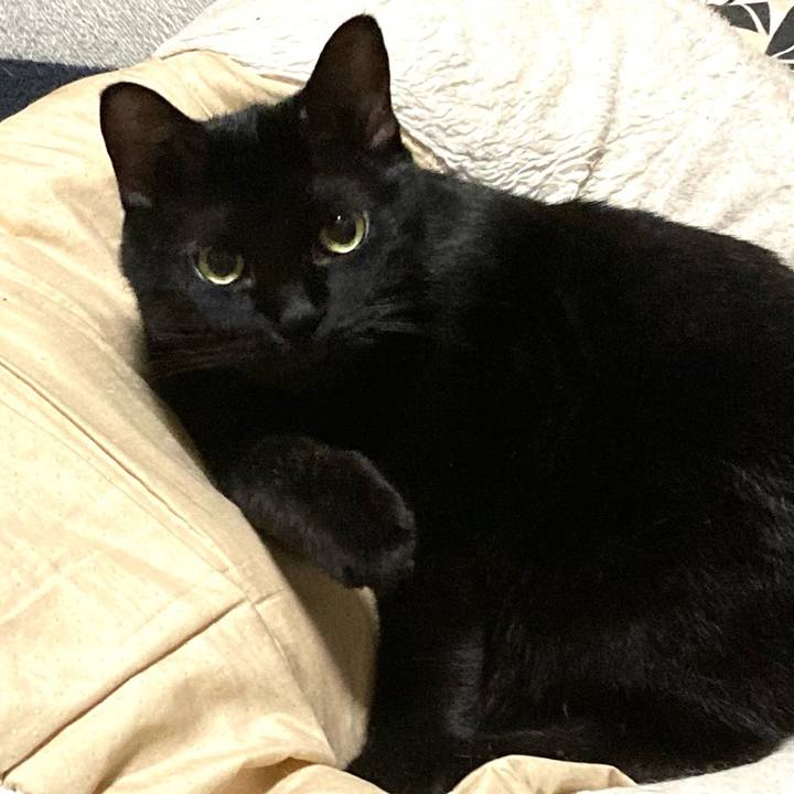 31068000 3f40 4310 86c5 45cd783f45c0 1662809013557