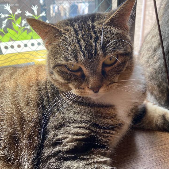 31068c11 131f 42f7 b370 f4371cc605a3 1591491733416