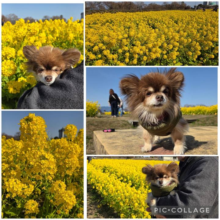 310699ad 4584 4dbc 9bd7 c2e639f86c7f 1772402624865