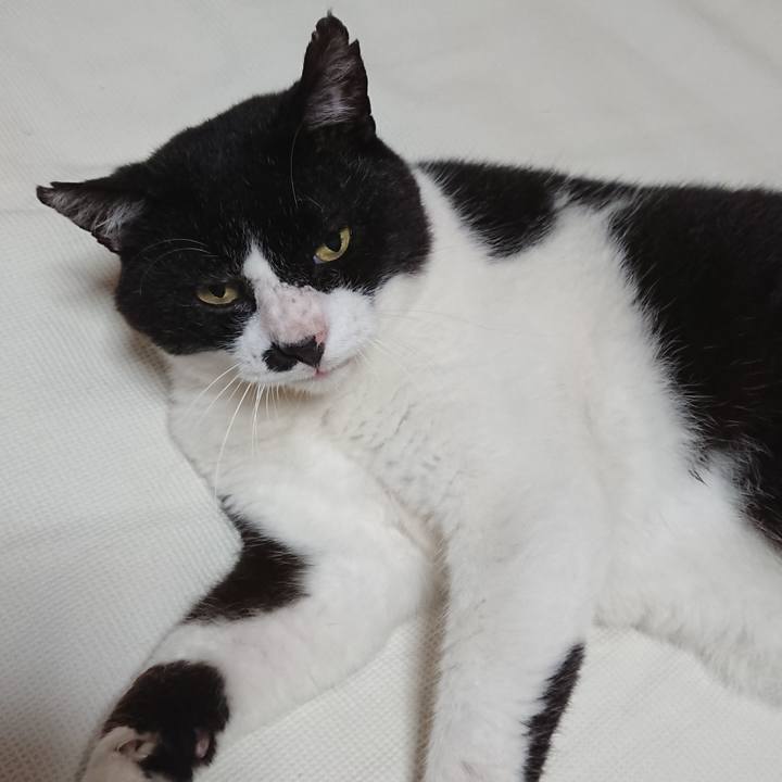 3106a56e aa79 4ef9 afc9 f7214cc72fc6 1596166555226