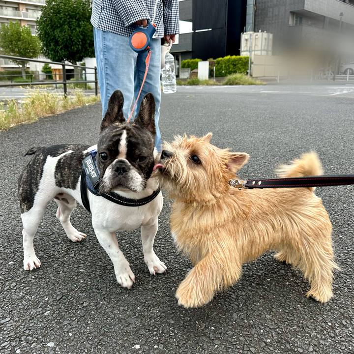 3106ade7 5cfb 40aa 8812 5e0ab871042e 1727702646874