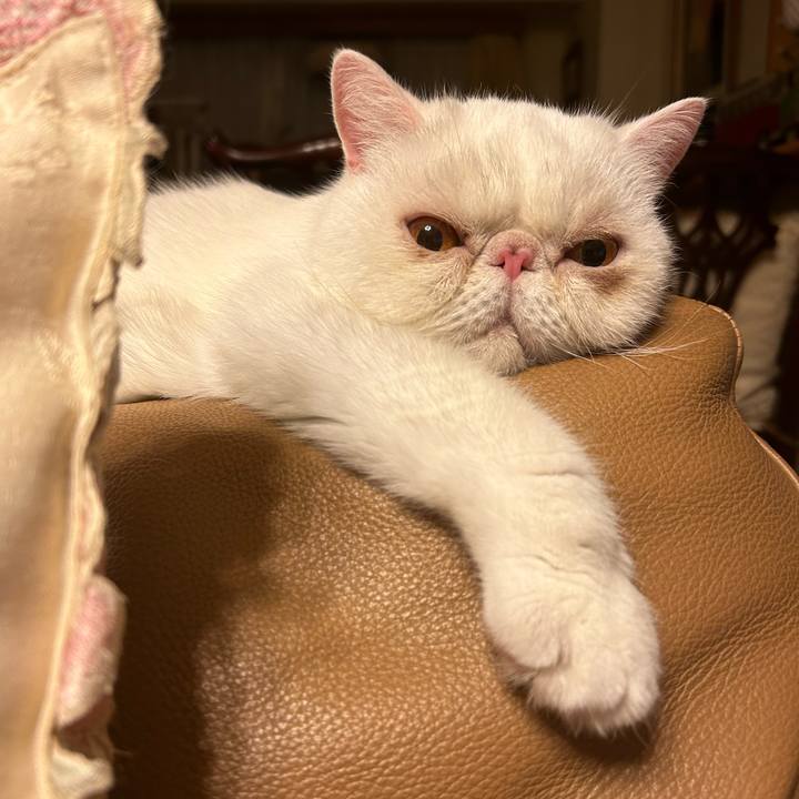 3106afc8 d365 46cb 8bbc b75e3e7a1257 1695294710426