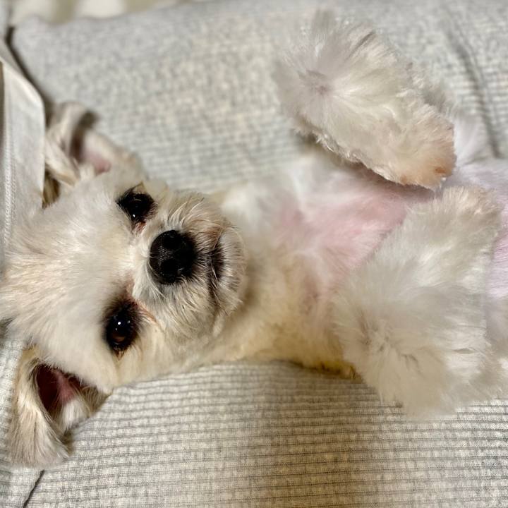 31070035 5431 4013 a4a7 a364336aca53 1572953740539