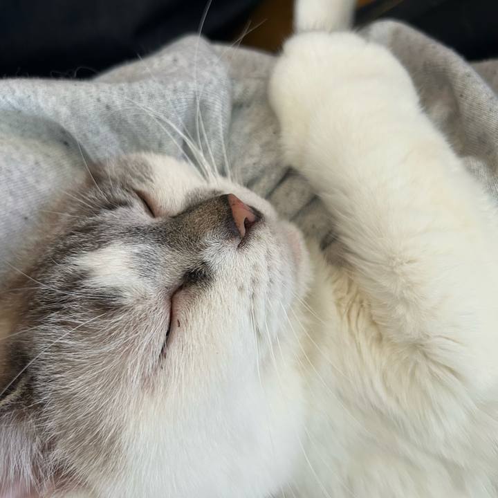 31070543 7ce0 4dc0 b88c 6061f590a06e 1764978354586