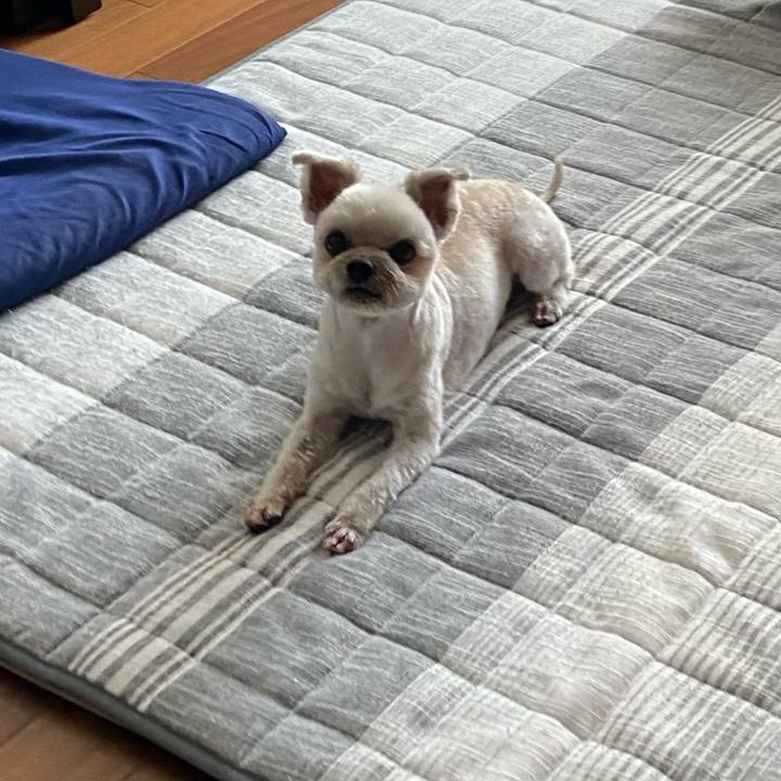 31072c9b 343b 47f0 9380 3512618cb6f7 1725789527070