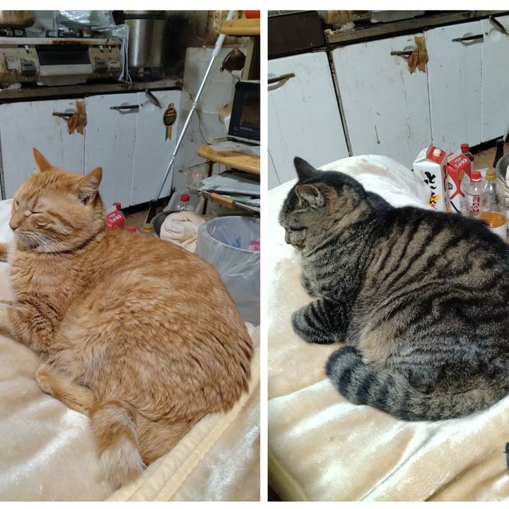 31072e7a e5a4 408f a789 f229f09375b9 1704019582691