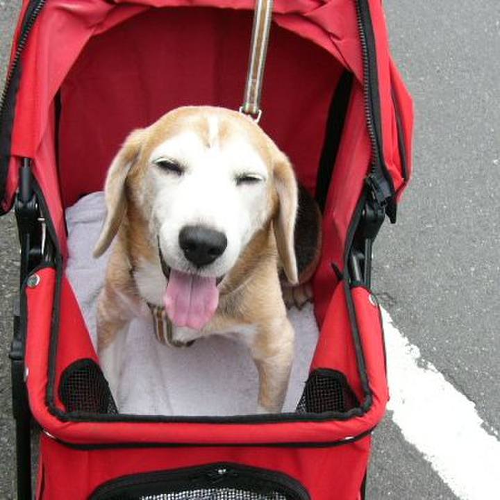 3107527b ee06 4d62 b92f 0a060b5cec4c 1653093742980