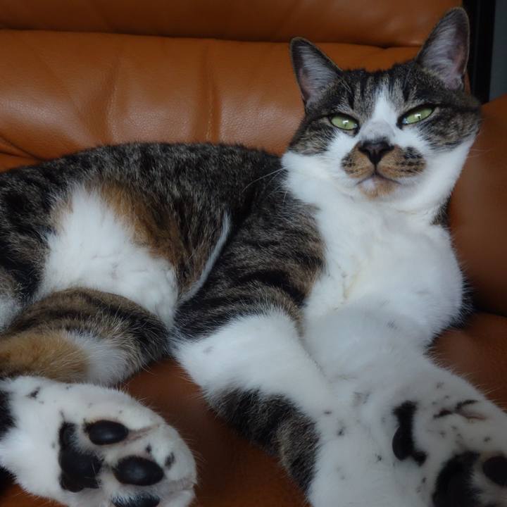 31079ad7 cd48 4c57 a4b7 95fde437dc1f 1760161204380