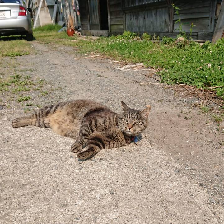 3107a1e4 15a2 4e7b b187 3c5f8b8c1ac9 1655595799610