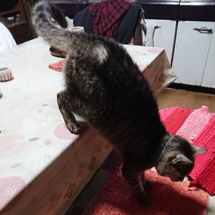 3107c1e7 c26d 404c aab2 d8da0307de68 1553504016386