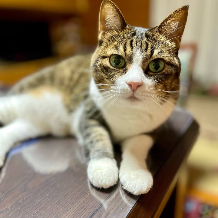 31080ee5 34a1 4ee8 89e6 7ac1c1458906 1691504165599