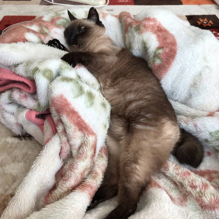 310828e9 4a68 45a8 ad22 0c065b095b53 1545884381034