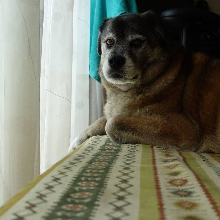 31084c78 70ea 4ca8 acb8 93efdf51b72f 1526433365917