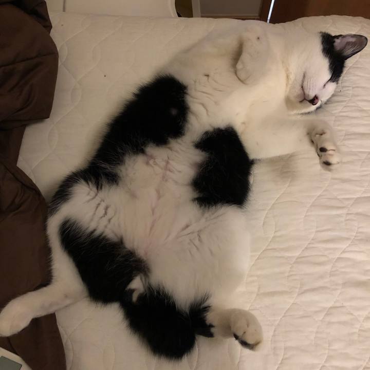 31084e5a 796c 477f b3d5 ce6ff92e1a76 1559053050637