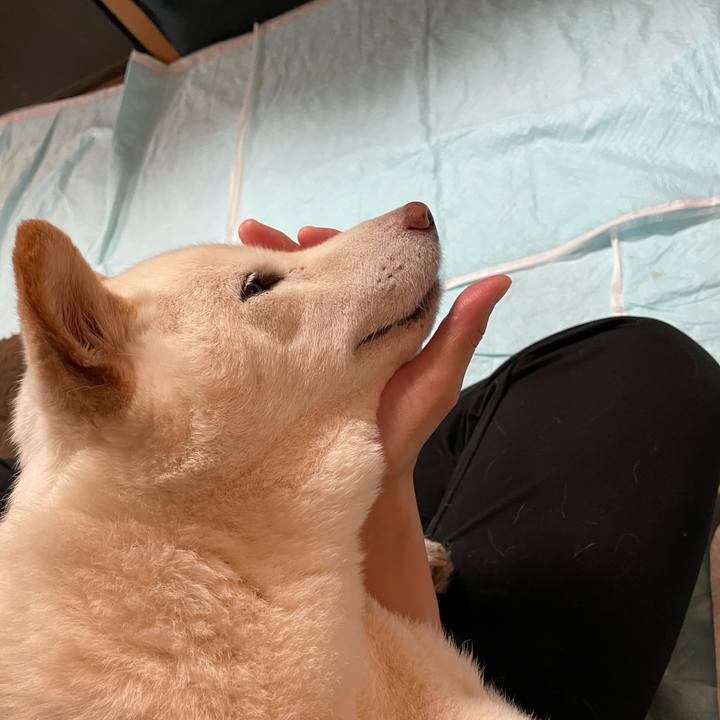 3109a31d 937b 4eda 9cf6 f0aae6fcdb40 1636086840291