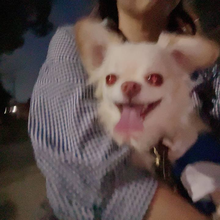 310a2d35 30d9 4c2b 8096 c388c1b43273 1693280544599