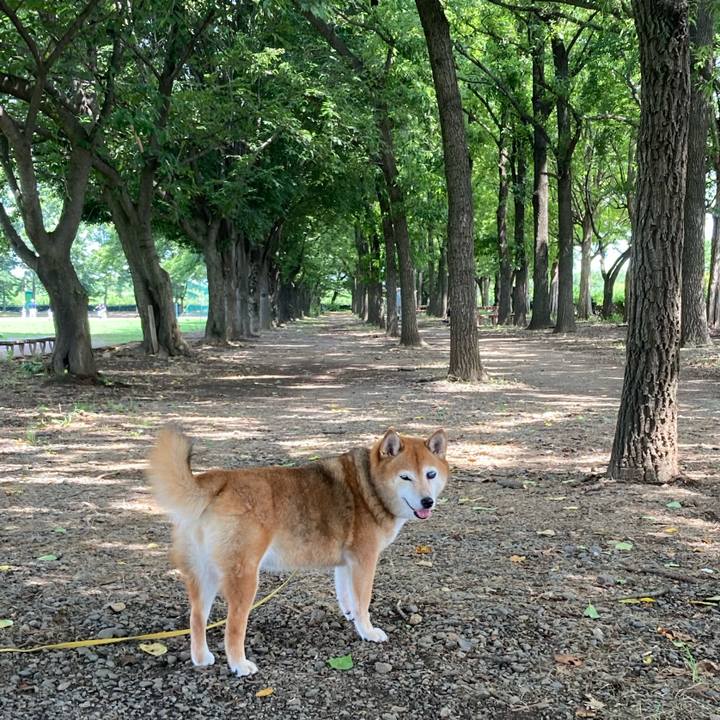 310a4126 3345 4c36 93ea cba1fb657648 1658126698368