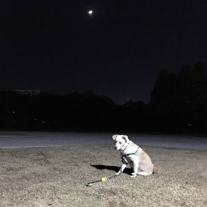 310a490e 6fed 41b9 b8c8 477d8f0579a9 1514027134527