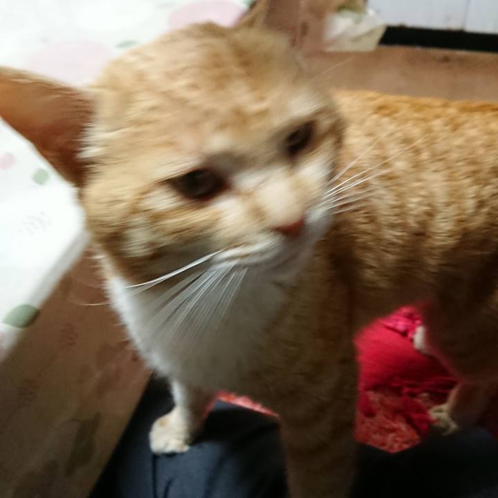 310a67c2 36ca 491e 989c 2120540db9b8 1554886891175