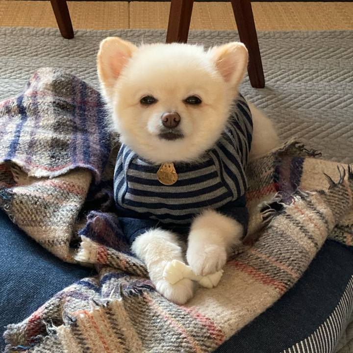 310acbe1 0ca1 4bd5 8f5c 21d8fa5efc70 1638919276282