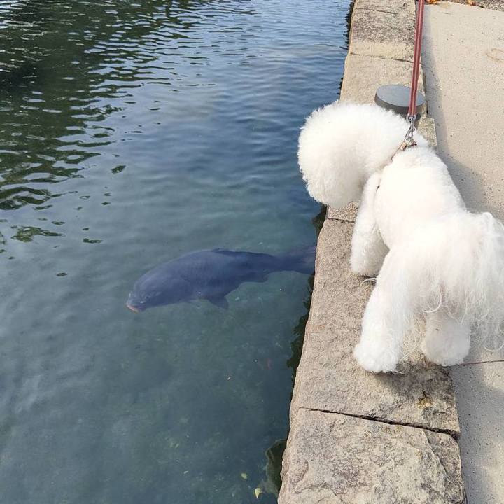 310ae1ac 2c6b 47a7 8ae4 c9a84d360814 1762605241760