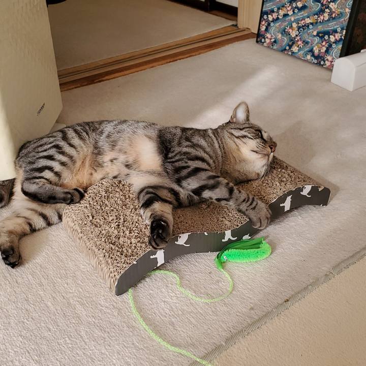 310b0b91 a550 4dd5 95a1 60233453a25e 1708784912323