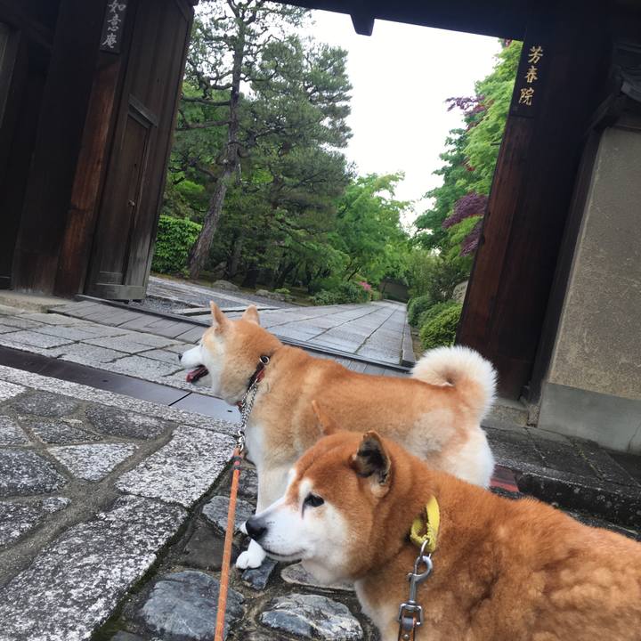 310b1d4b b705 4e7e b334 21564784f298 1525301354505