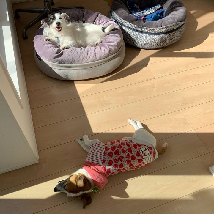 310b2417 a423 4722 a3e0 7b7b4cc644f6 1634703364015