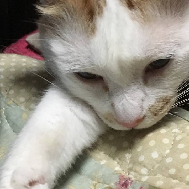 310b334a 860b 49eb 97db c6be278df289 1564716521962