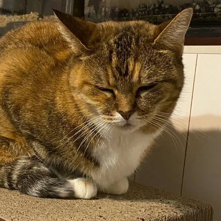 310b6f5a 0ca9 4bb2 99b0 ec6deb5523d4 1698764012096