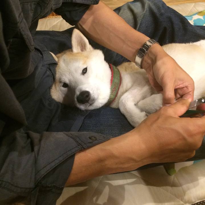 310b70cd 1f5e 4646 b4dc f2fd054ed9ec 1569680621934