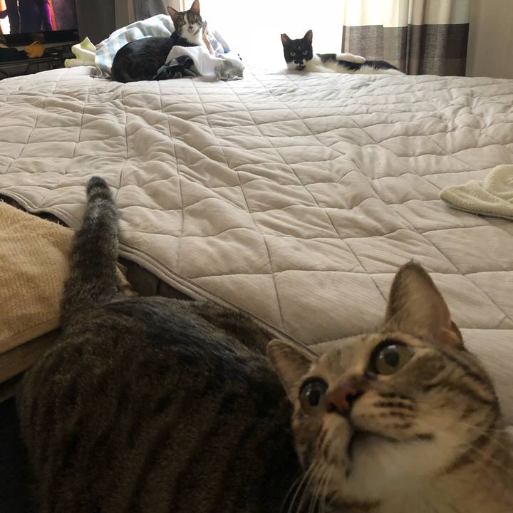 310b9efa aaff 45bd 9825 a72aaf1670bb 1536931448154