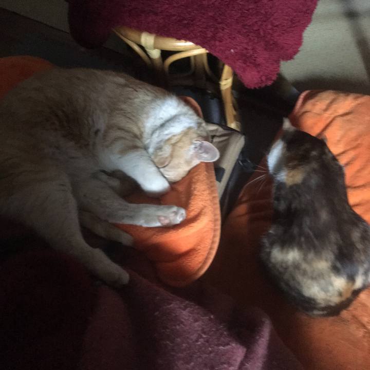 310ba609 fa6d 4b4f b859 aa2bf103f5e9 1518309664201