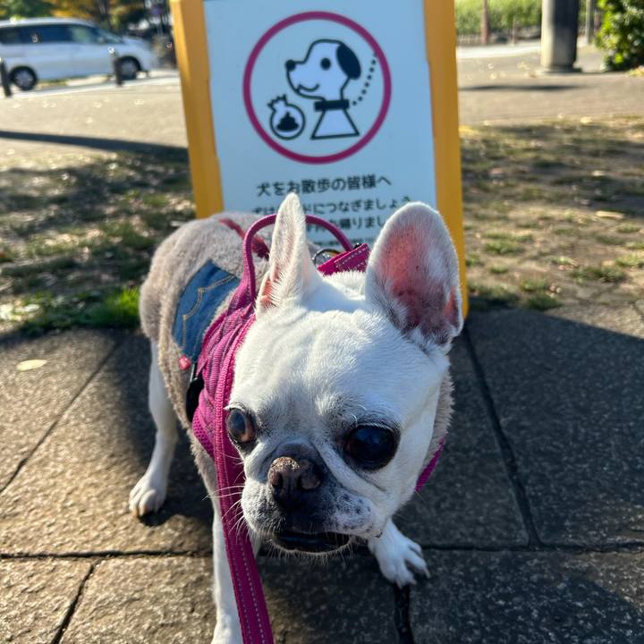 310bc673 55ef 46c9 92b1 97e2f95547b4 1732452220341