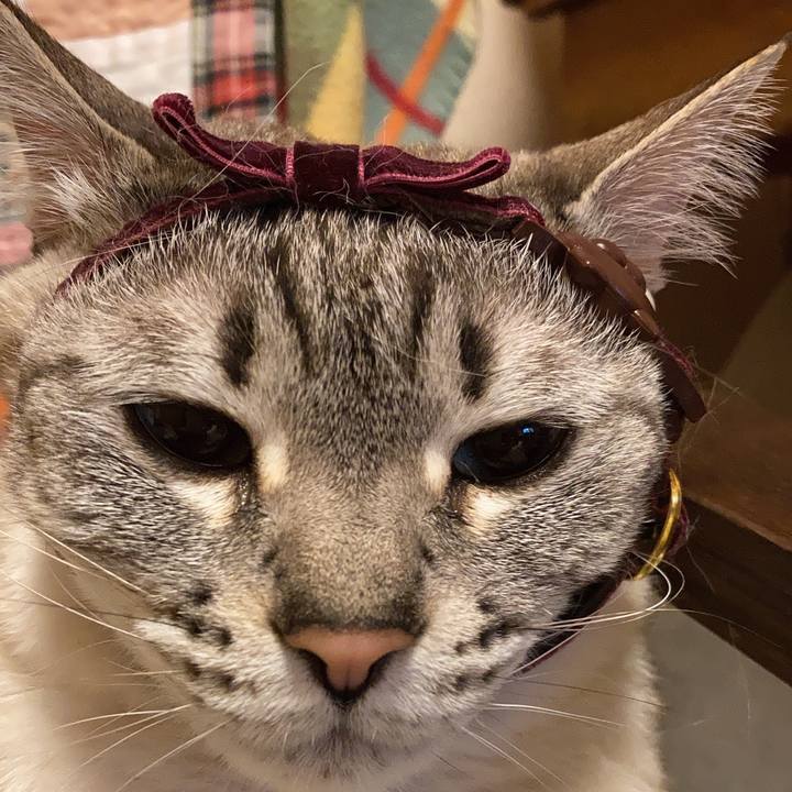 310c0f03 6315 4747 b585 fca169053f63 1647653112424